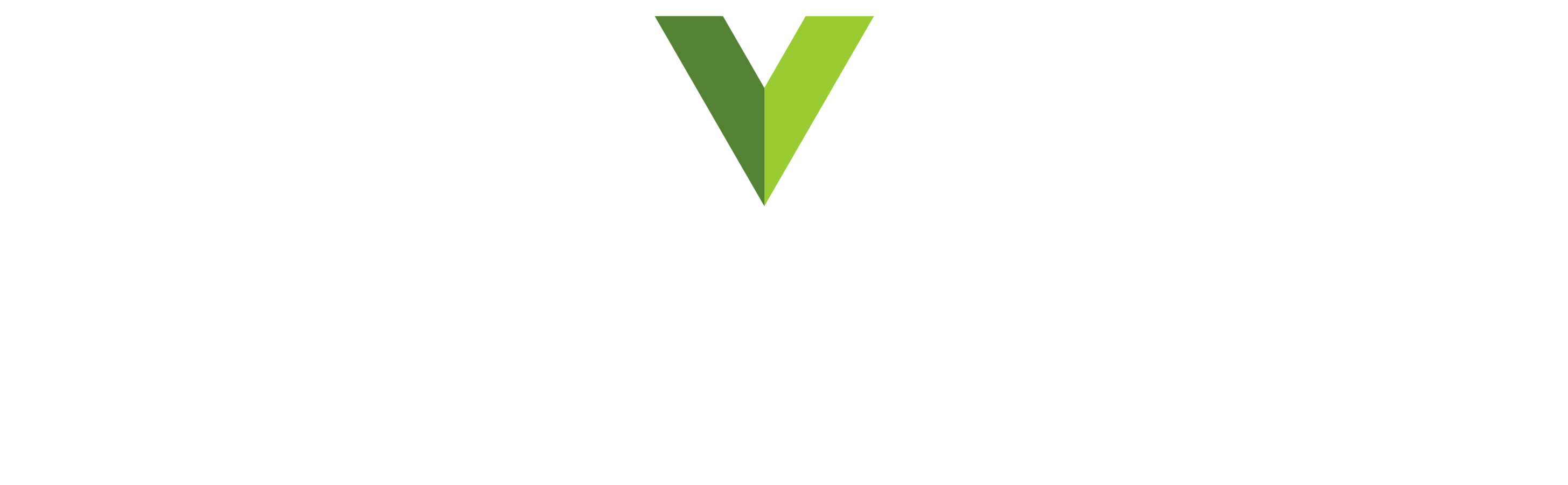 Salvato Auctions Logo_Full Color_Light